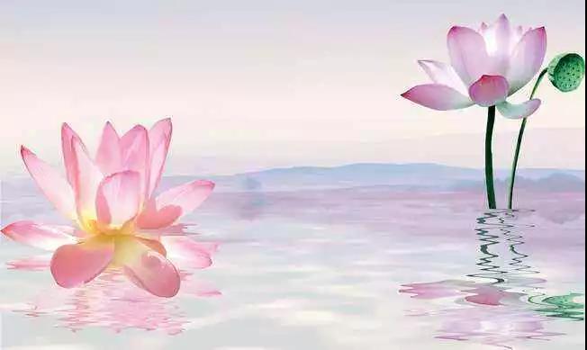 ������Ժ��м���һ���Ǻ�Ҫ���ģ�