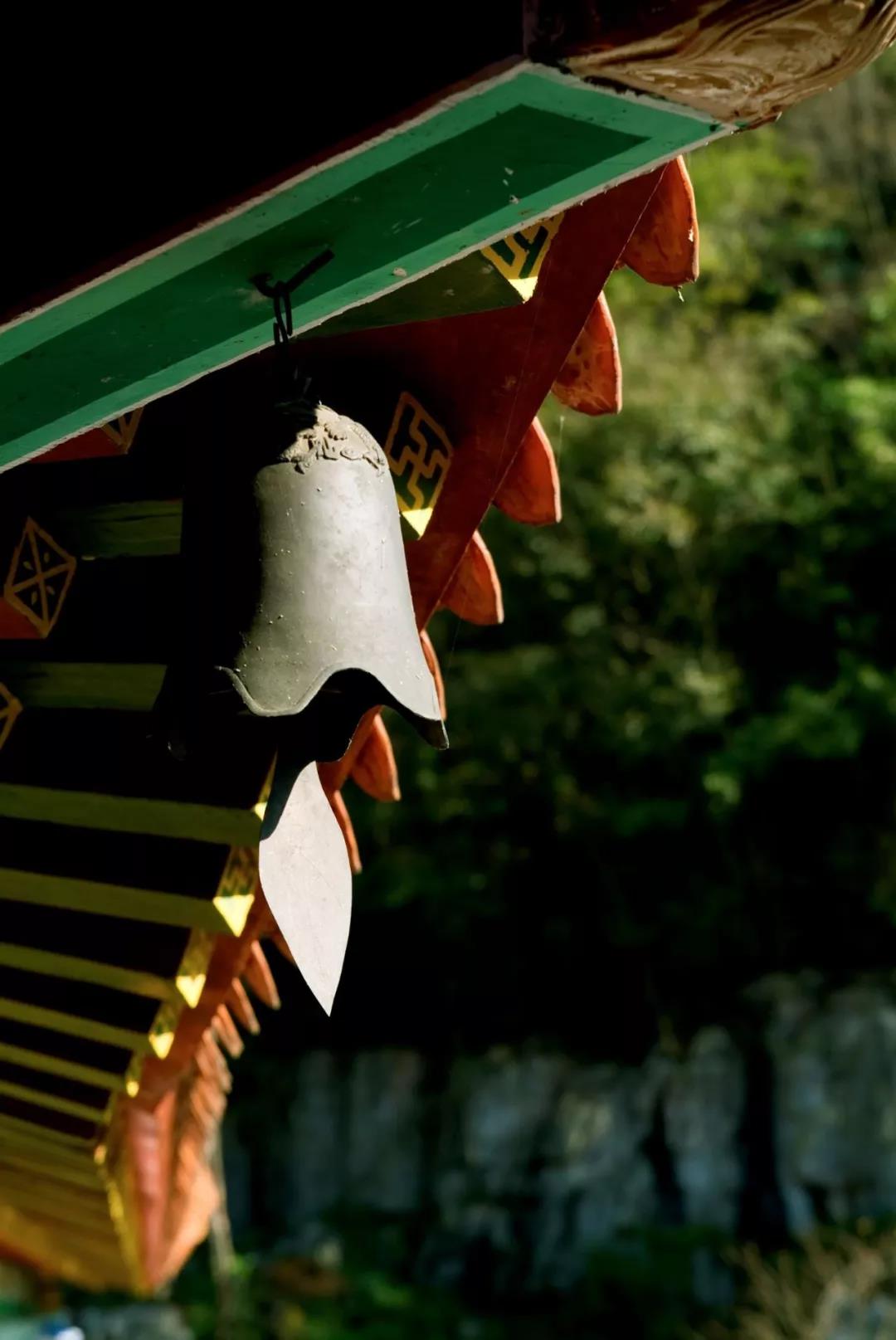 ���۳��ϣ������������ٶ඼��Ҫ��