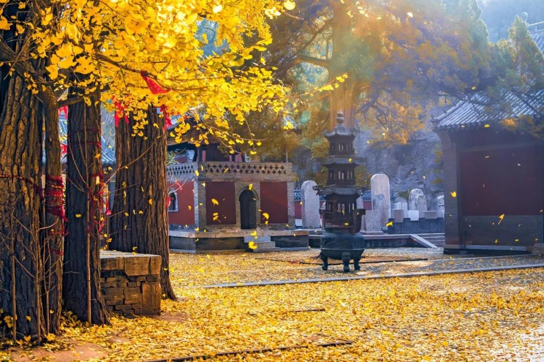 ���۳��ϣ������������ٶ඼��Ҫ��