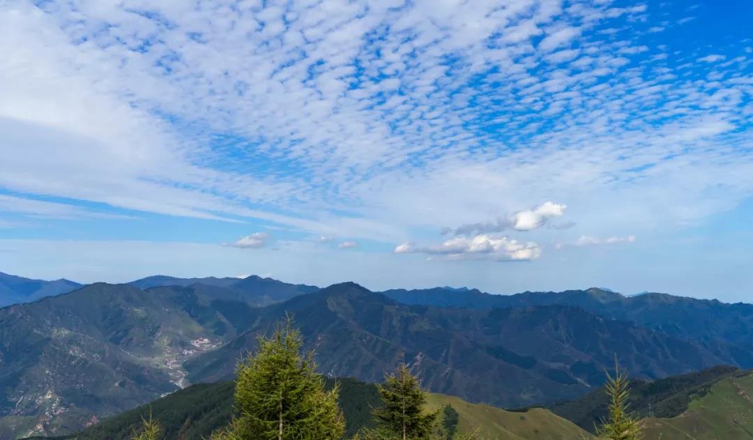 ���ҡ���ʲô����ʵֻ��һ�ָо�