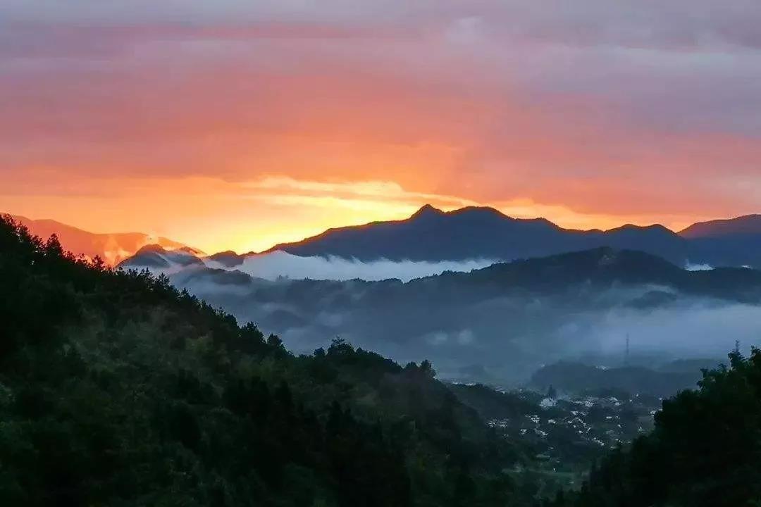 ��ν�������������ϣ�