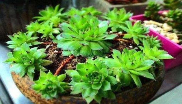 ��ν�������������ϣ�