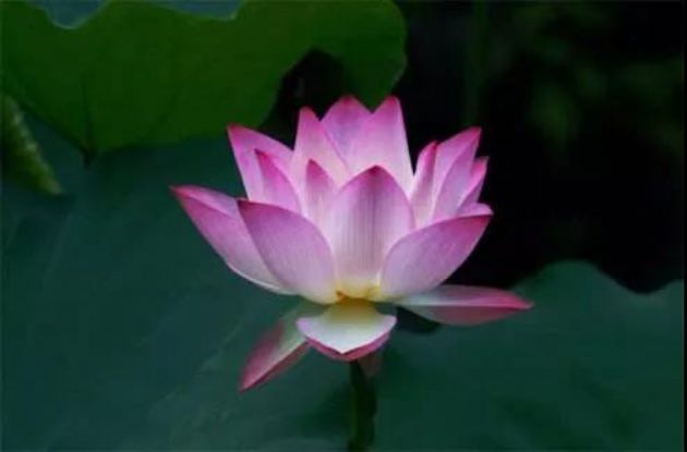 ��ν�������������ϣ�