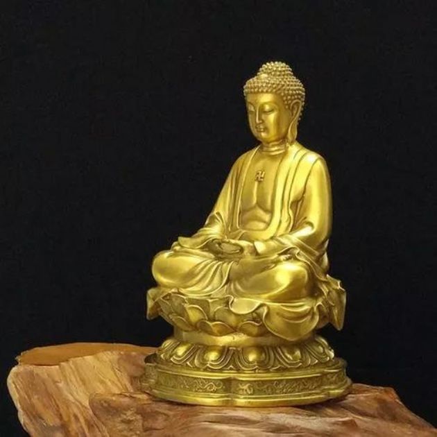 ��ν�������������ϣ�