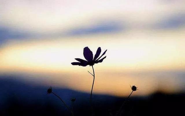 �����������������һ�־���