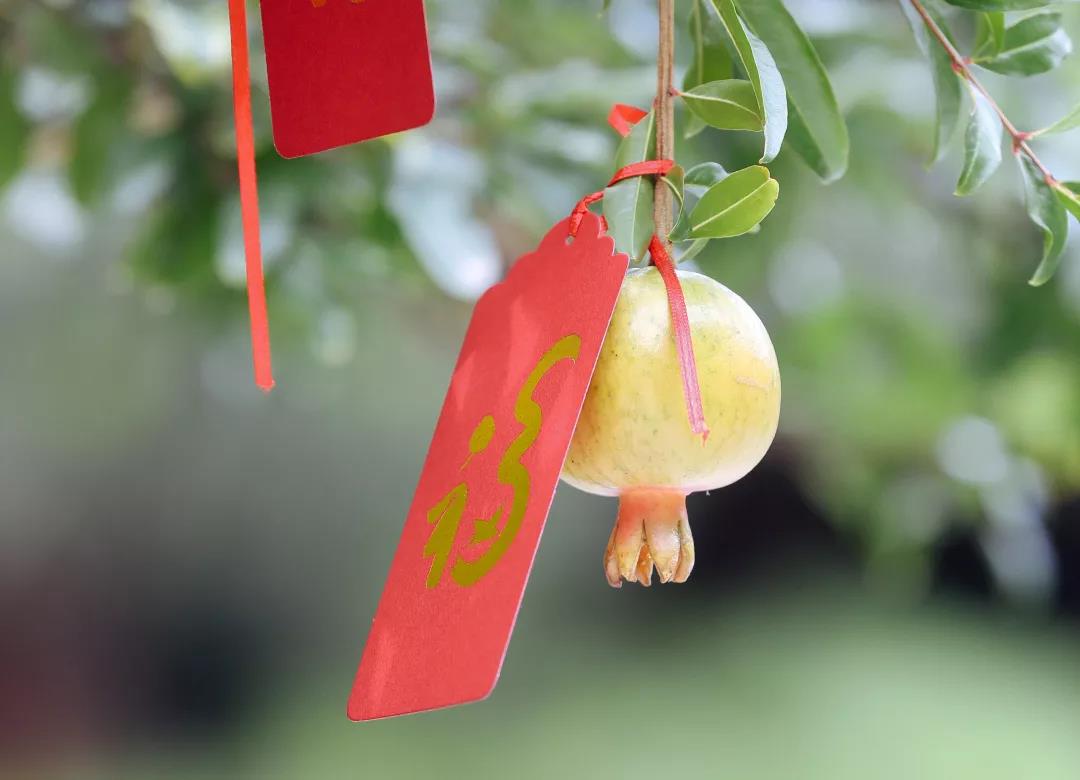 佛氏门中有求必应:如何才能让自己所求之愿速成? 佛氏门中有求必应:如何才能让自己所求之愿速成?