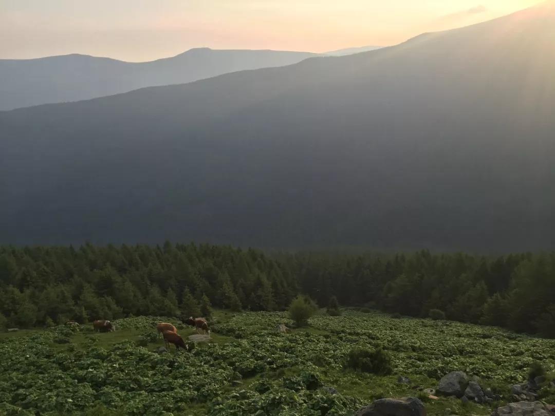 ����ҵ���ˣ��չ麦�����Լ�������Ī�Խ��������