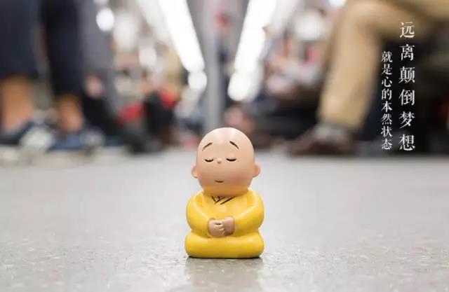 ��ʮ����������֮��,������������