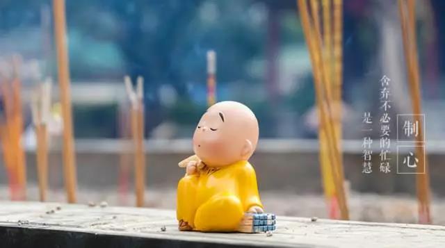 ��ʮ����������֮��,������������