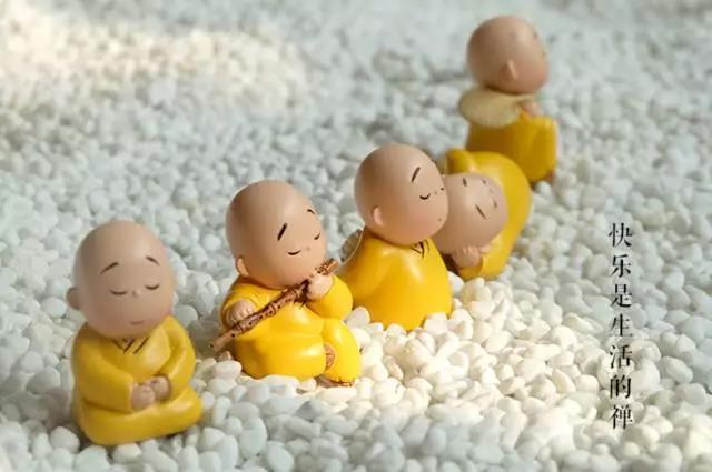 ��ʮ����������֮��,������������