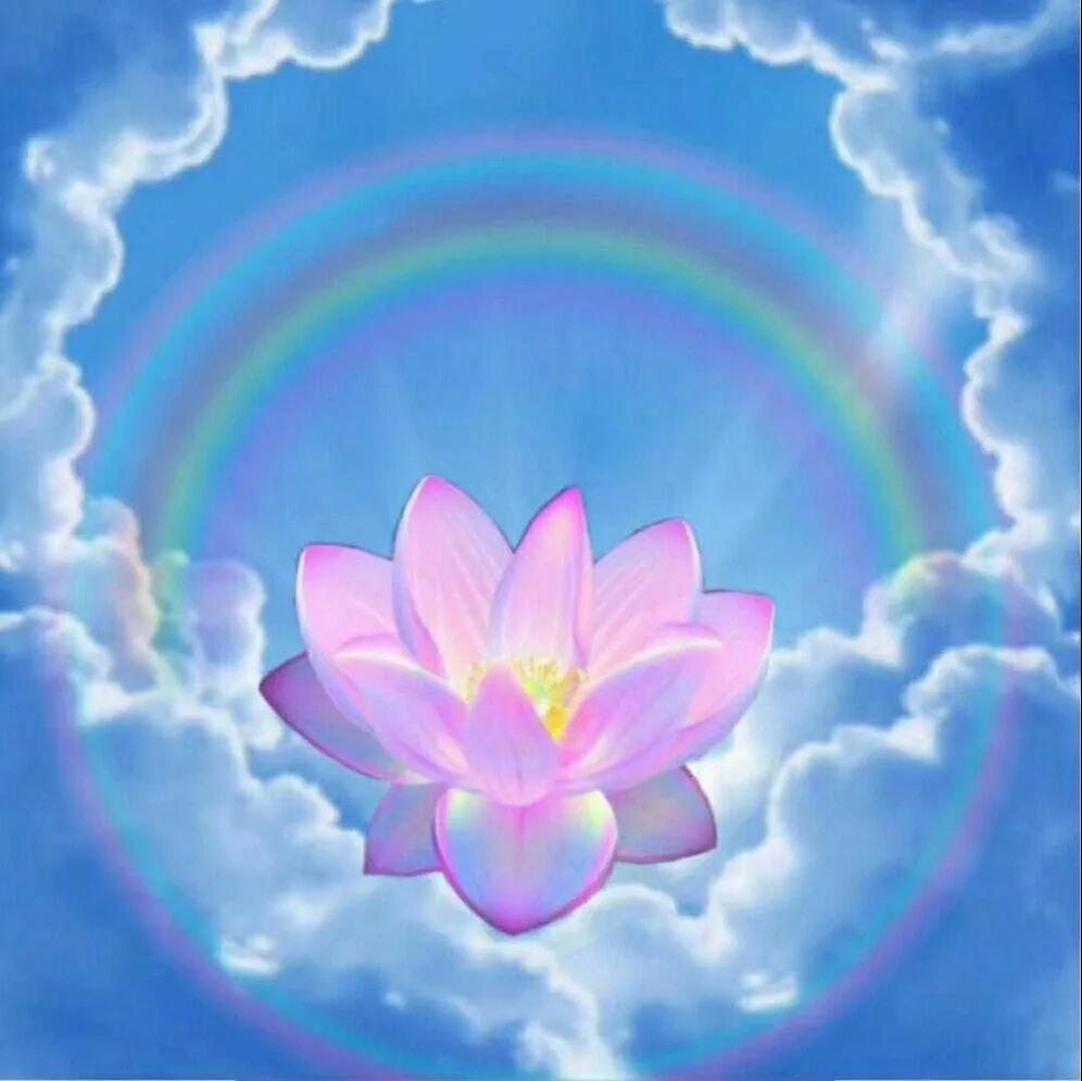 孝子除障,助母往生 孝子除障,助母往生