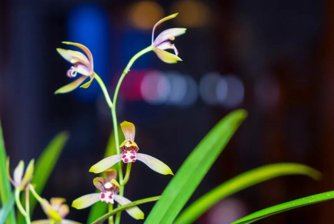 �����Ǵӡ�_�޲���_����ʼ��