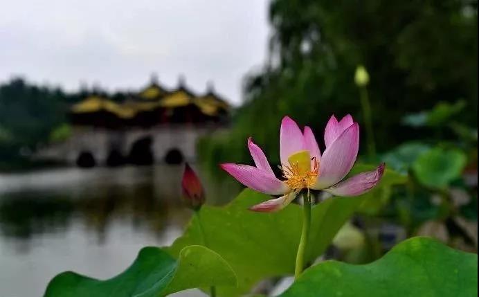 �������߼��£�ǧ��Ҫȥ��