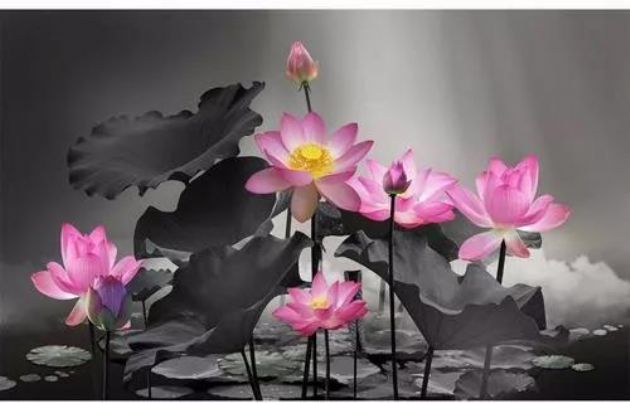 �����˵Ĳ��ֻ������֮��