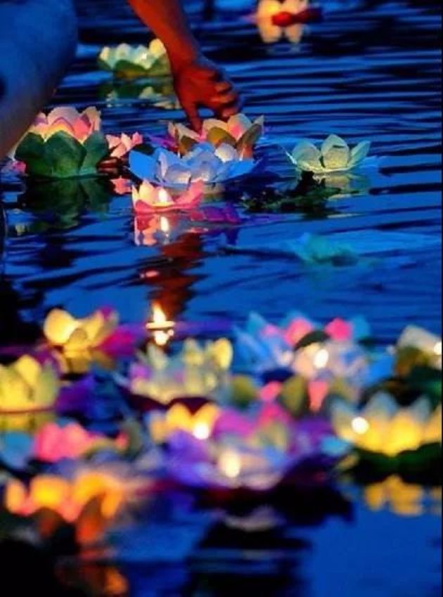 ���°룬����ɭɭ����֮�����������ڷ�ϵ����ָ�ϡ��˽�һ�£�