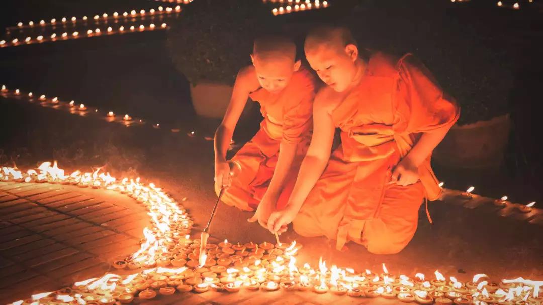 ���°룬����ɭɭ����֮�����������ڷ�ϵ����ָ�ϡ��˽�һ�£�