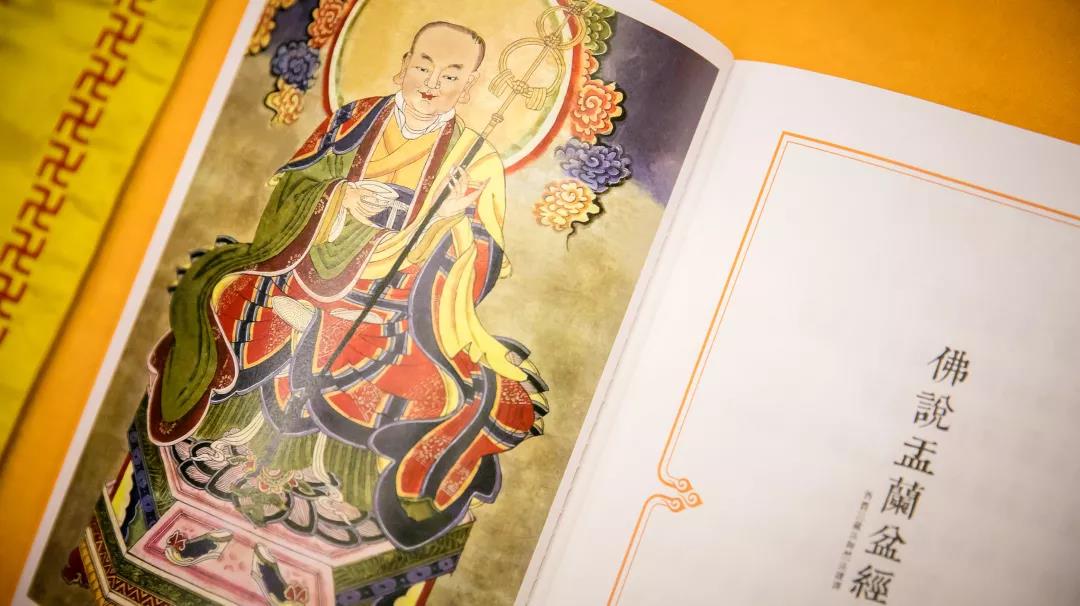 ���°룬����ɭɭ����֮�����������ڷ�ϵ����ָ�ϡ��˽�һ�£�