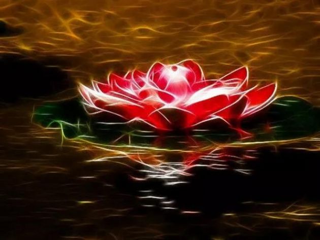 在「不幸」之中获得觉悟的机会 在「不幸」之中获得觉悟的机会