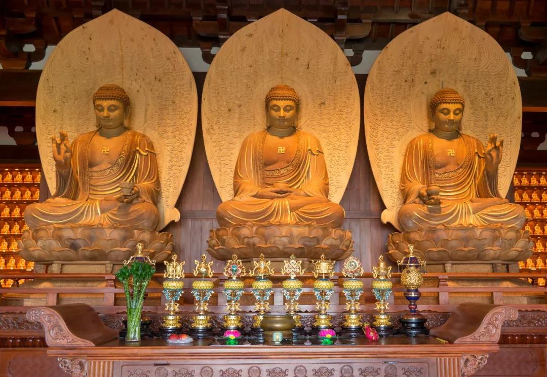 ����������ڣ���Ըԩ������ý��ѣ�������ϲ��ϲ��