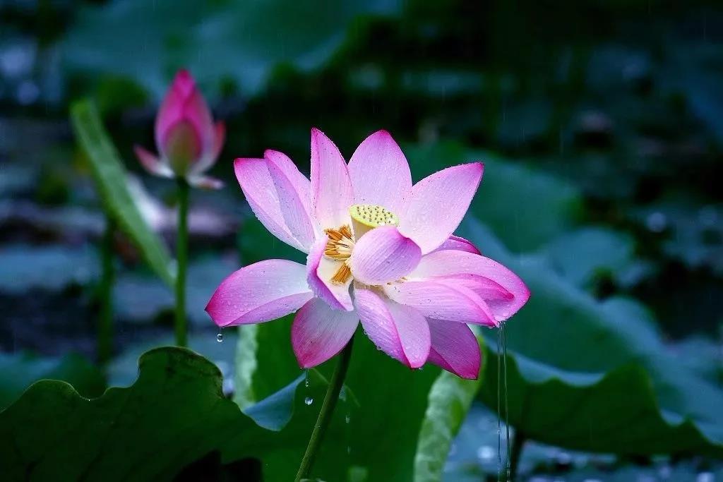 ���е����ܾͲ������������