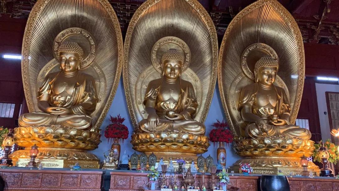 ����������ÿ���¿�ʼ���飬���Բ���أ�