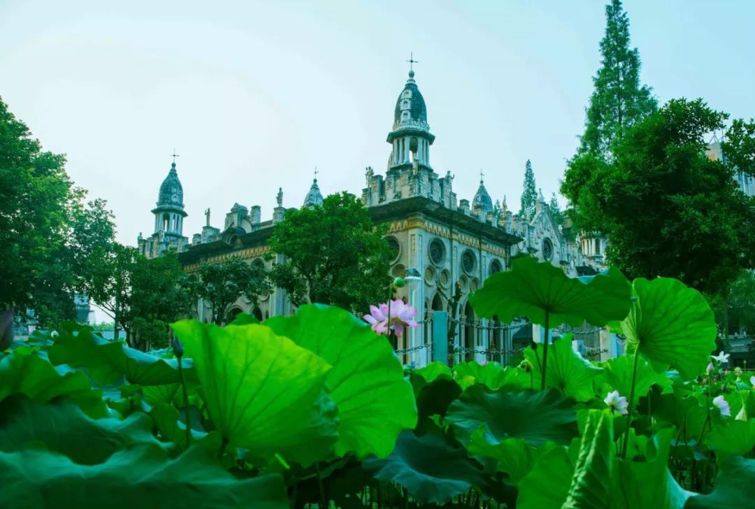 任职70年的香灯师:一个平凡比丘尼的觉悟之路 任职70年的香灯师:一个平凡比丘尼的觉悟之路