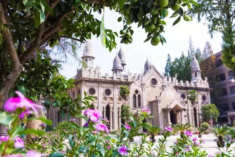 任职70年的香灯师:一个平凡比丘尼的觉悟之路 任职70年的香灯师:一个平凡比丘尼的觉悟之路