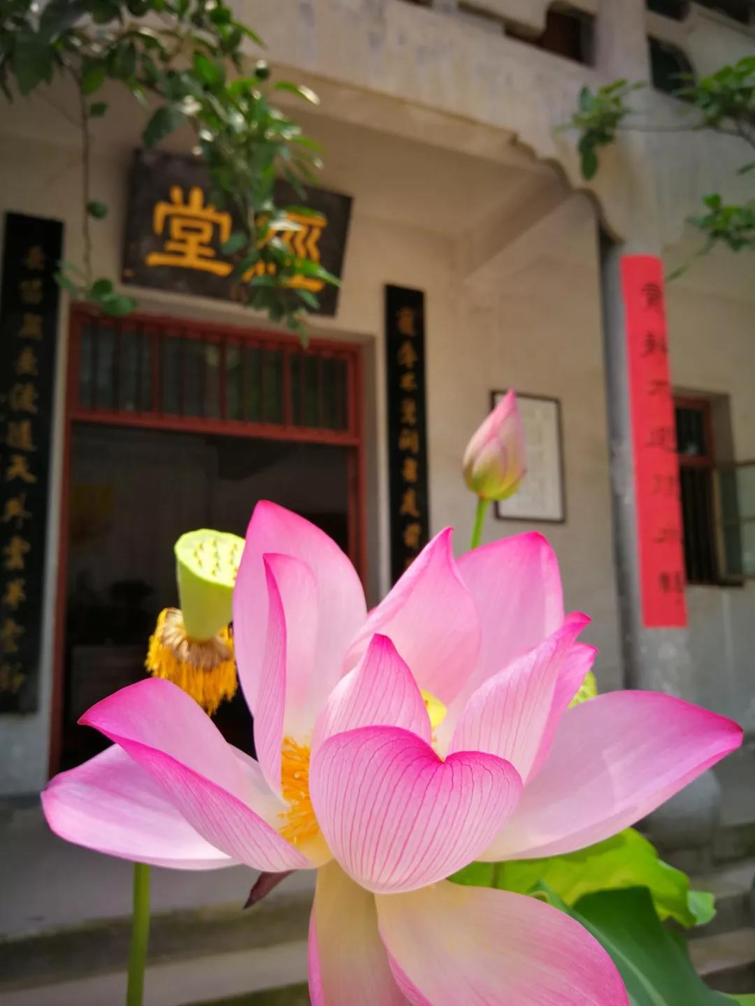 任职70年的香灯师:一个平凡比丘尼的觉悟之路 任职70年的香灯师:一个平凡比丘尼的觉悟之路