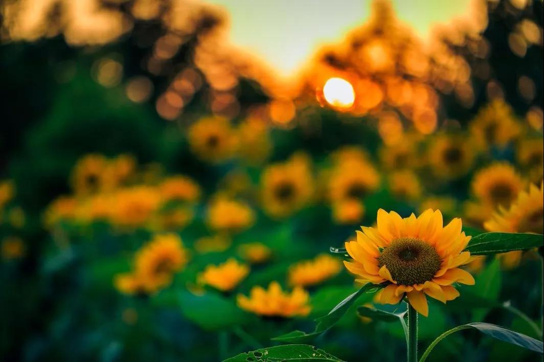 ��������һ�㣬����������׵߸���