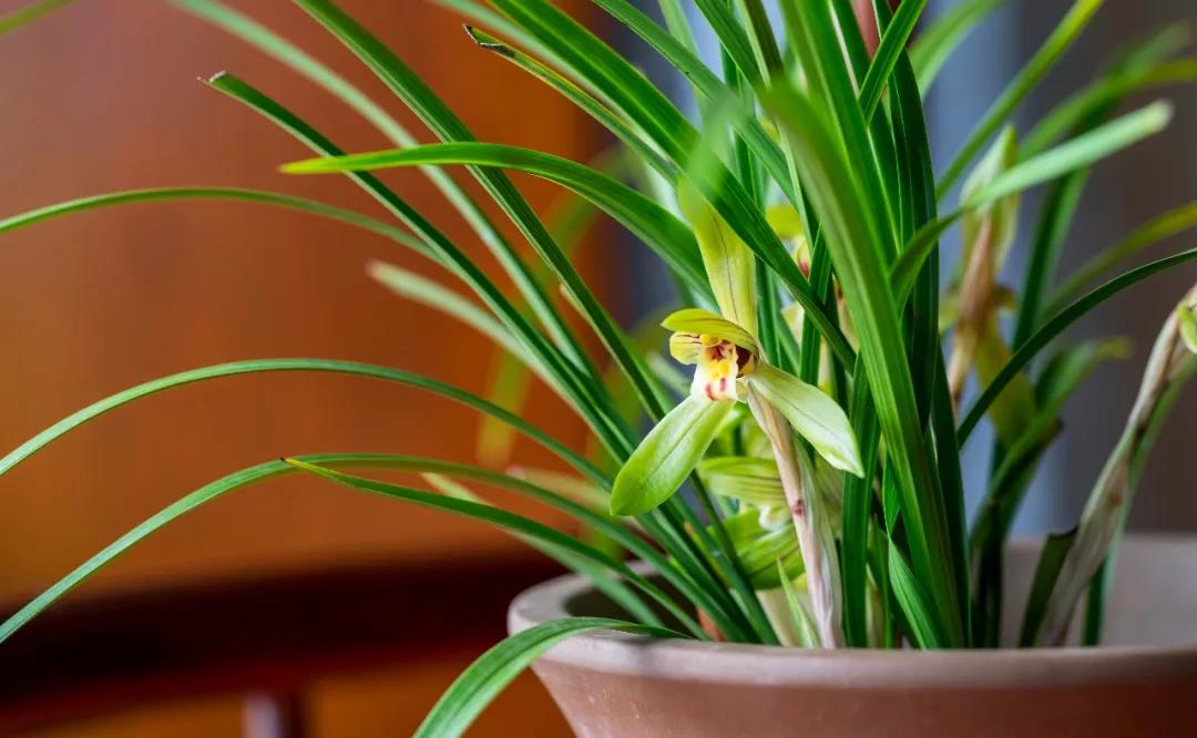 ��������һ�㣬����������׵߸���