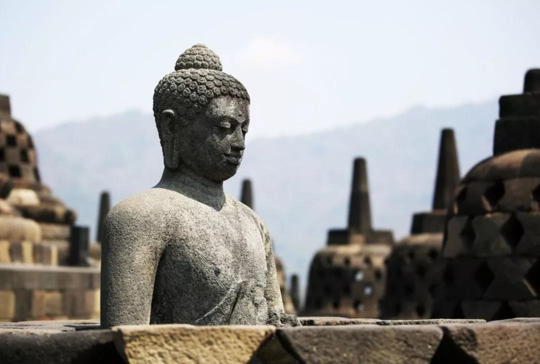 ��Ե�����£���ϲ��6�����ų�����רҵ����������������