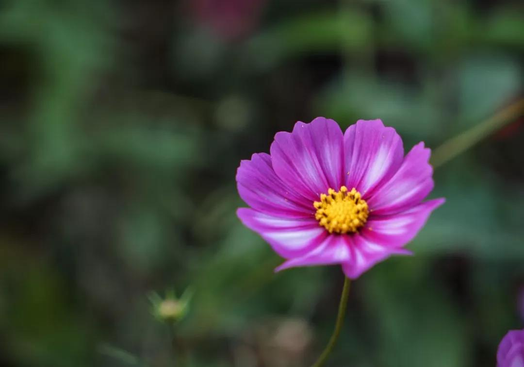 ����úõģ�ΪʲôҪѧ�����У�