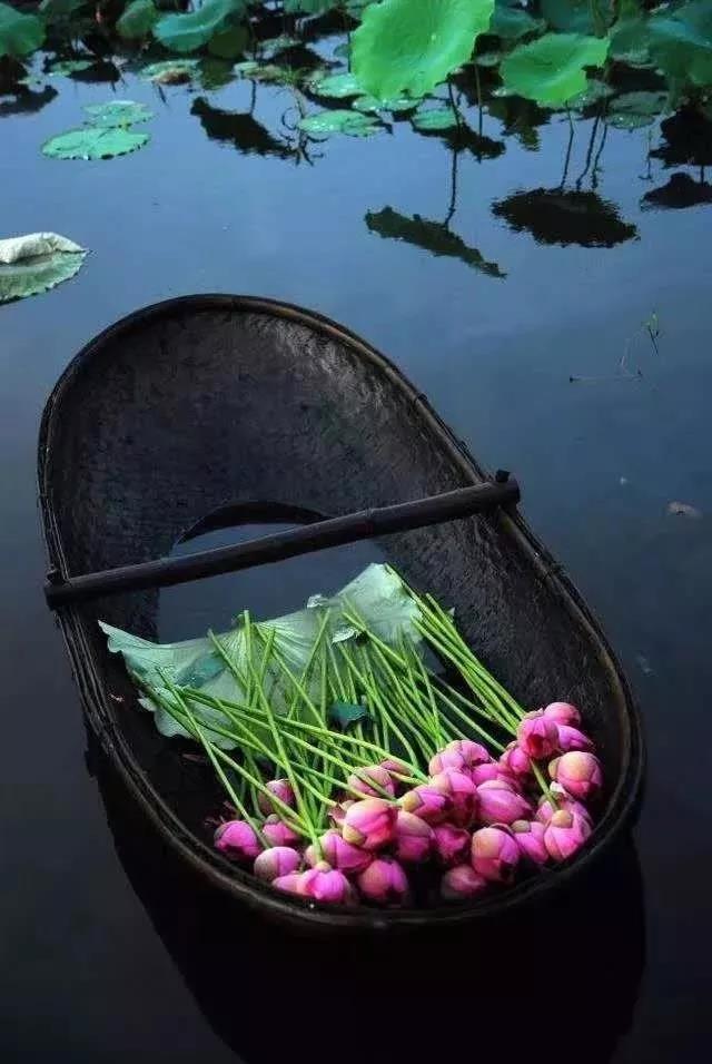 ����úõģ�ΪʲôҪѧ�����У�