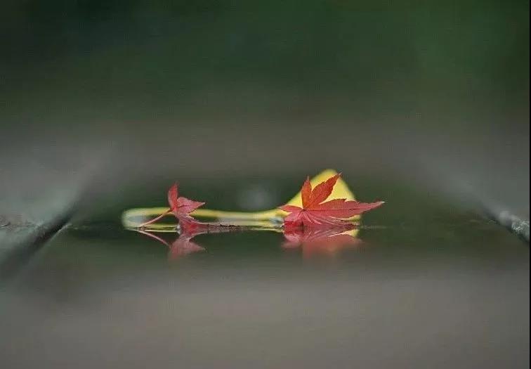 ����úõģ�ΪʲôҪѧ�����У�