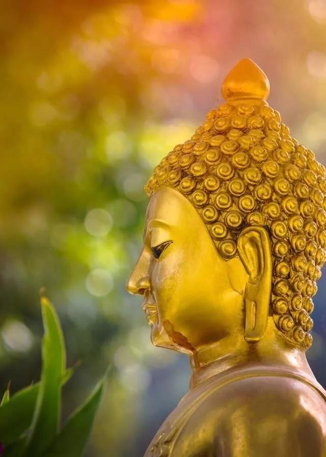 ��Ҫѹ�֣��������Լ��з���