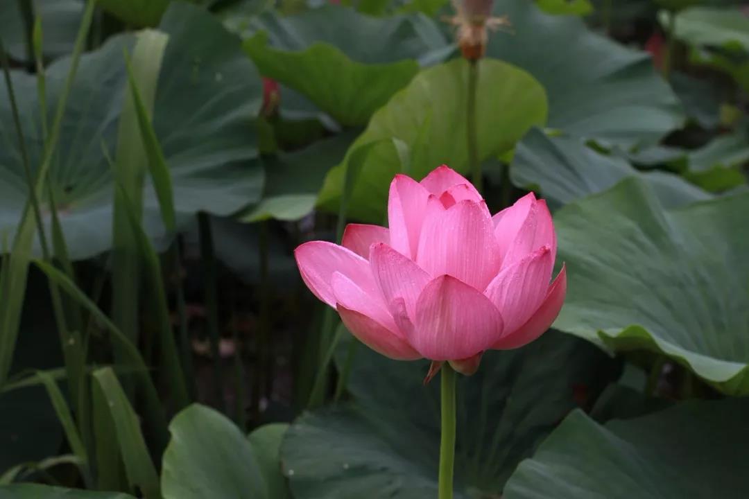 �����������ŵ�ʲô�̶ȣ����ž�û���������