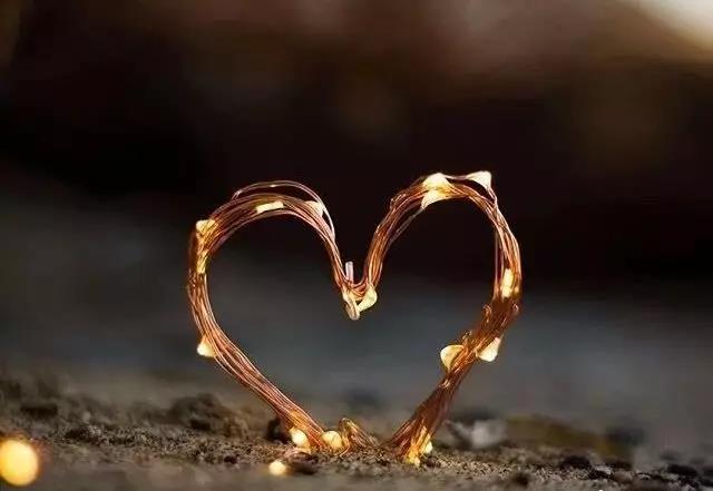 �ž��Լ�����������