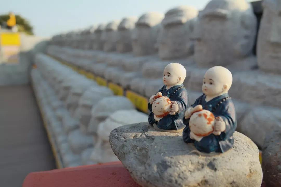 �ž��Լ�����������