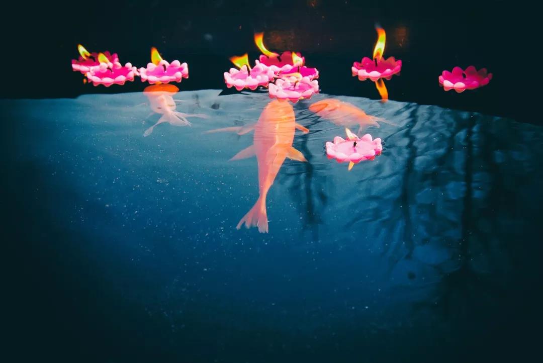 �ž��Լ�����������