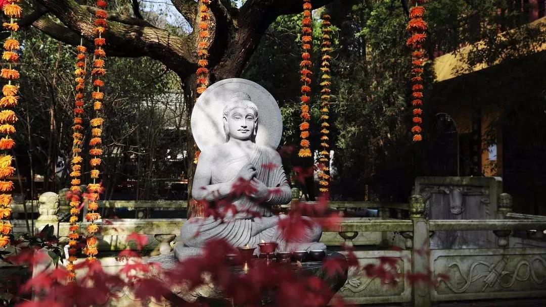 ���ʹ������ǿ����ֻ��ǿ�͹��𣿸���Ҫ�ǻۣ�