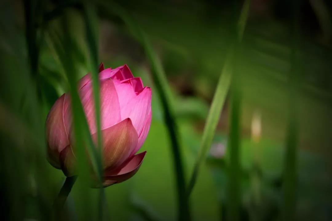 "Զ�����"_�ǲ��Ǻ�_"��˳����"�г�ͻ��