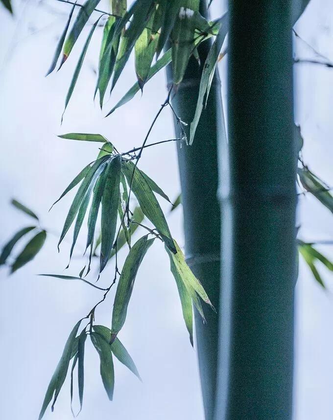 ���ĵ����Ͽ�����𣬲��ܸз���Ӧ