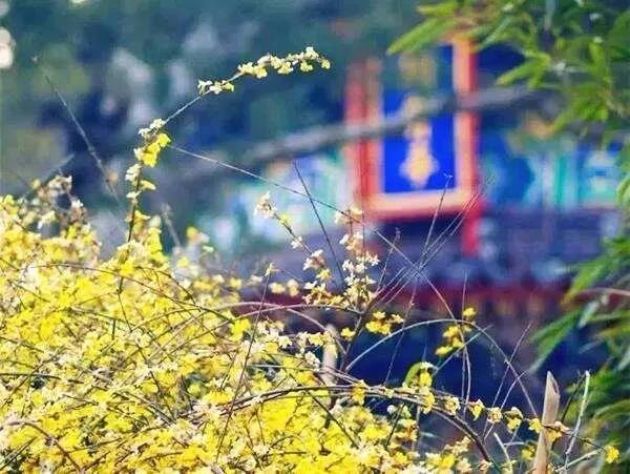 �����£����������˷��գ����²����ģ�����������