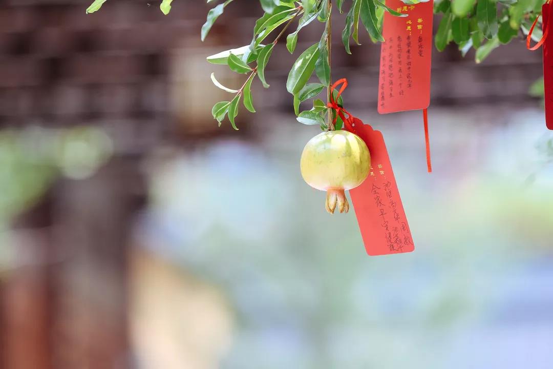 ѧ�����У�����ܸı䲻����