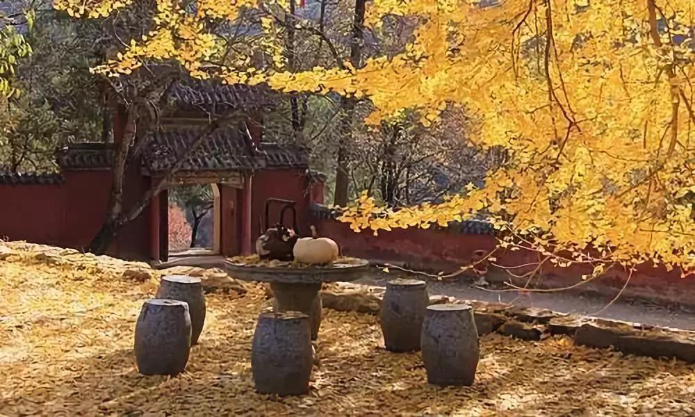 �������࣬����ִ����_​