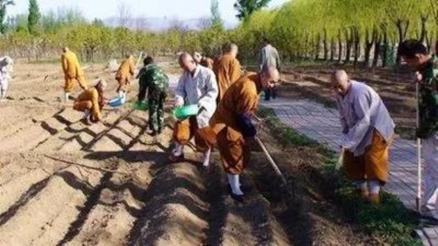 入洞坐禅念佛十几年,预知时至,念佛往生! 入洞坐禅念佛十几年,预知时至,念佛往生!