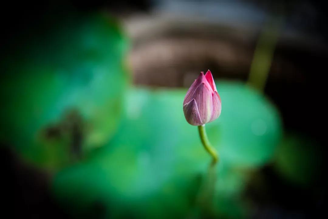 ����Բ�ڵģ�ֻҪ���ģ�������ǵ���