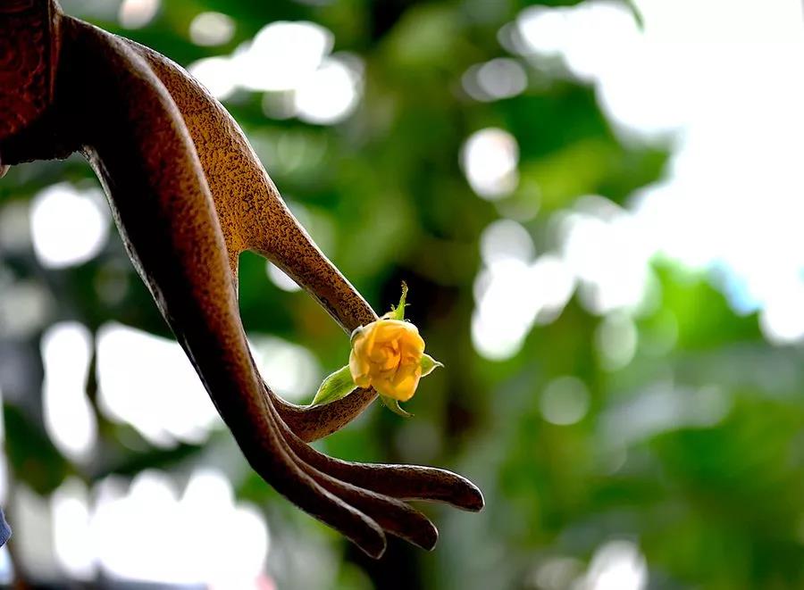 农历八月初三,恭逢六祖惠能大师圆寂纪念日! 农历八月初三,恭逢六祖惠能大师圆寂纪念日!