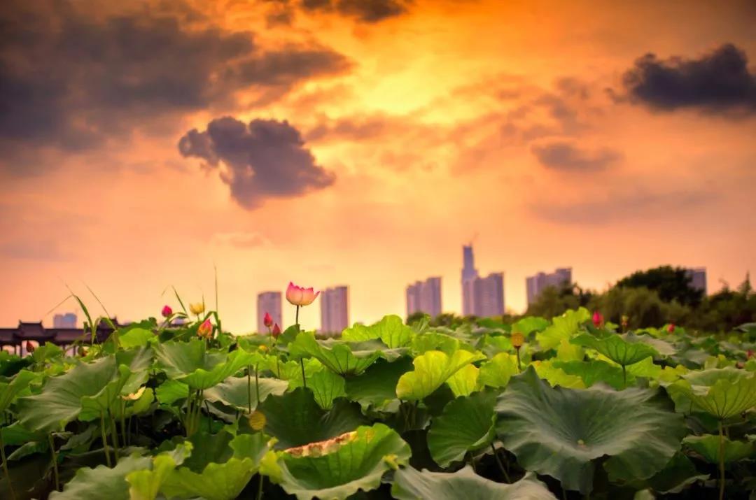 广钦老和尚语录:这世间是一场迷梦…… 广钦老和尚语录:这世间是一场迷梦……