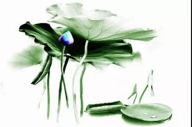 Ϊʲô�����ã���Ϊȱ��Σ����ʶ��